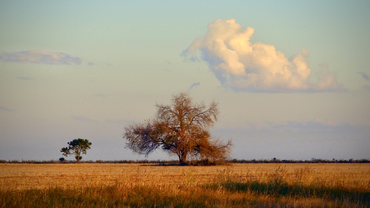 Nuestra parte de noche