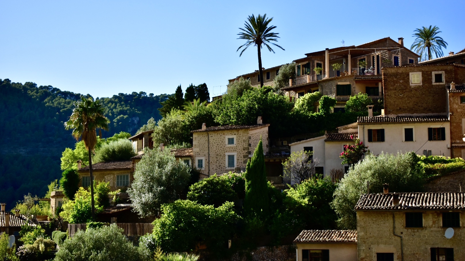 Un día por la serra de Tramuntana tras bohemios, olivos y&nbsp;acantilados