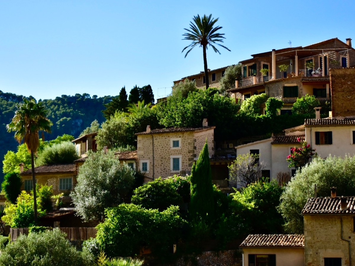 Un día por la serra de Tramuntana tras bohemios, olivos y&nbsp;acantilados