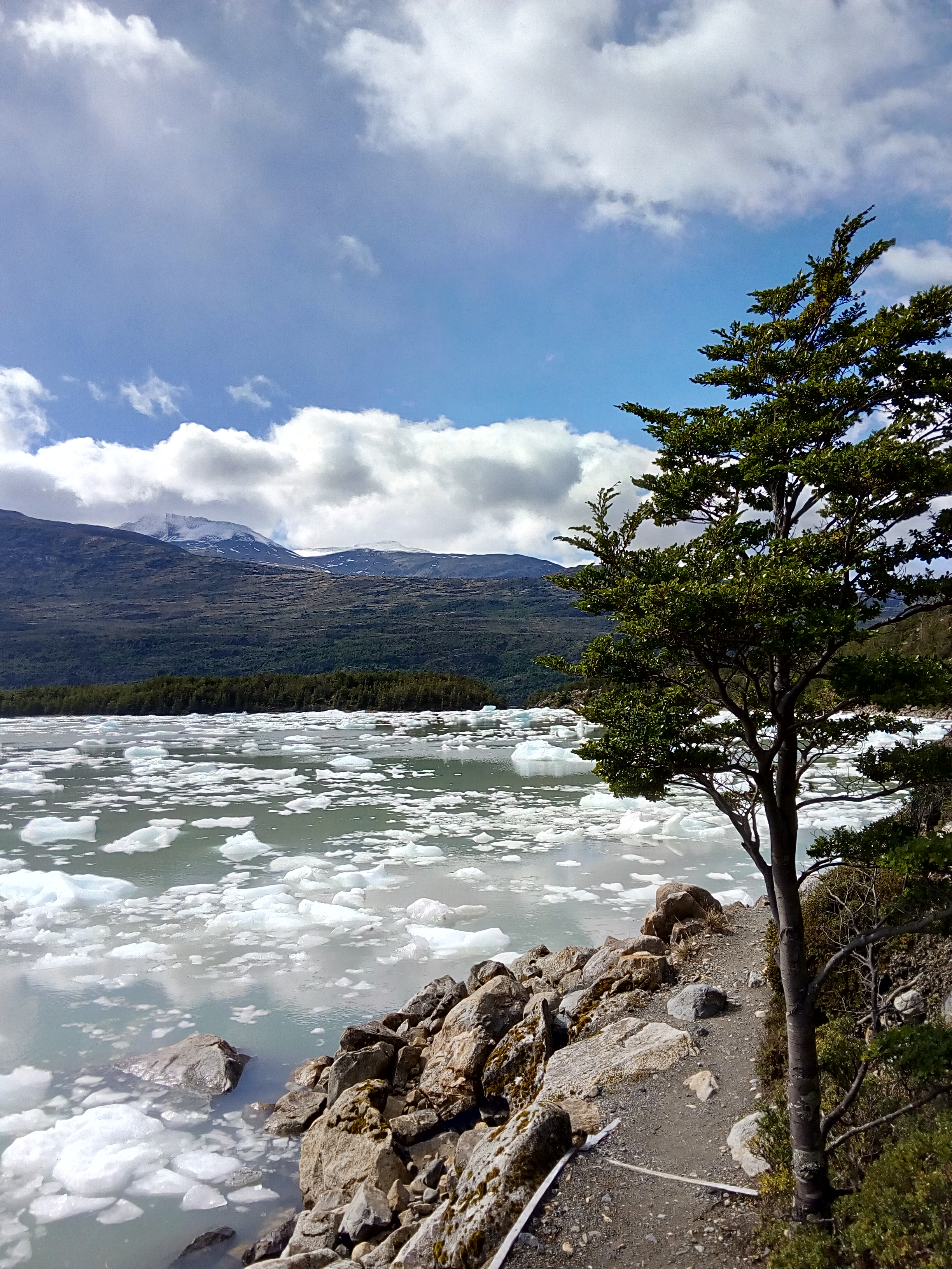 Los glaciares Balmaceda y Serrano