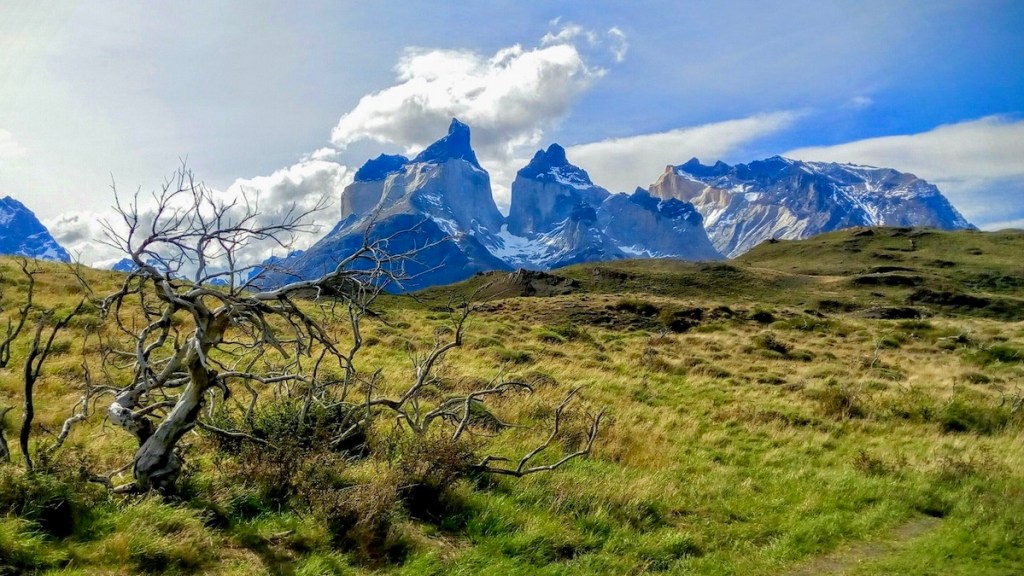 Un día en las Torres del Paine, el color especial de la&nbsp;Patagonia