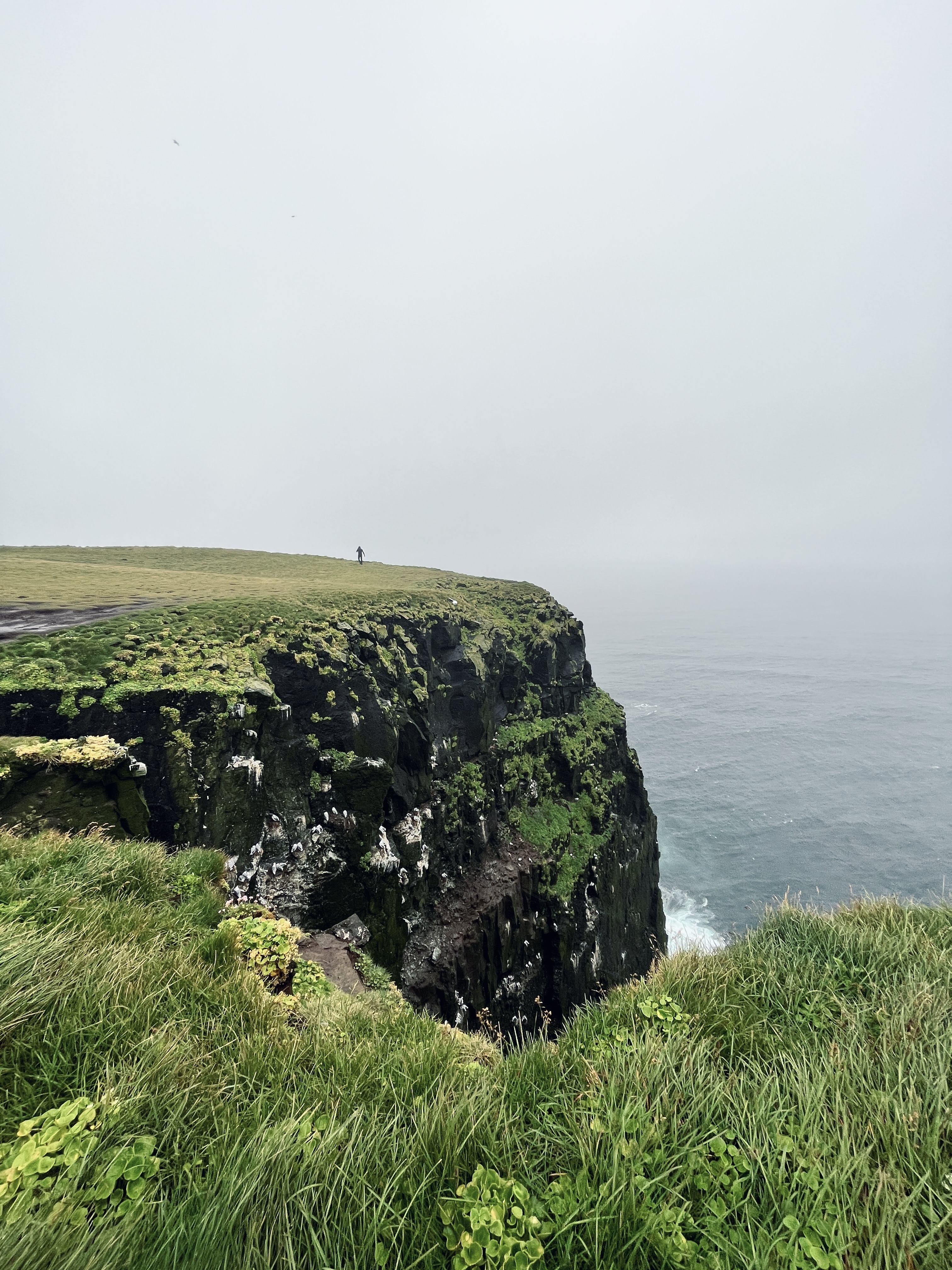 Fiordos del Oeste - Islandia