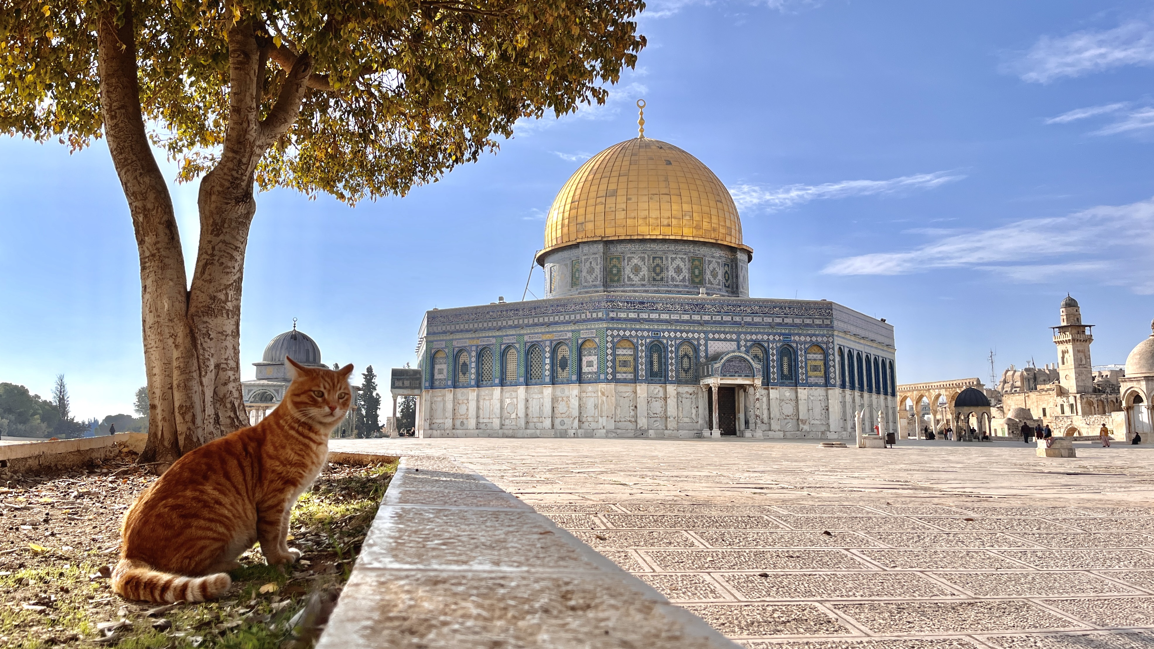 Impactante, milenaria y vivísima: Jerusalén en seis escenas&nbsp;únicas