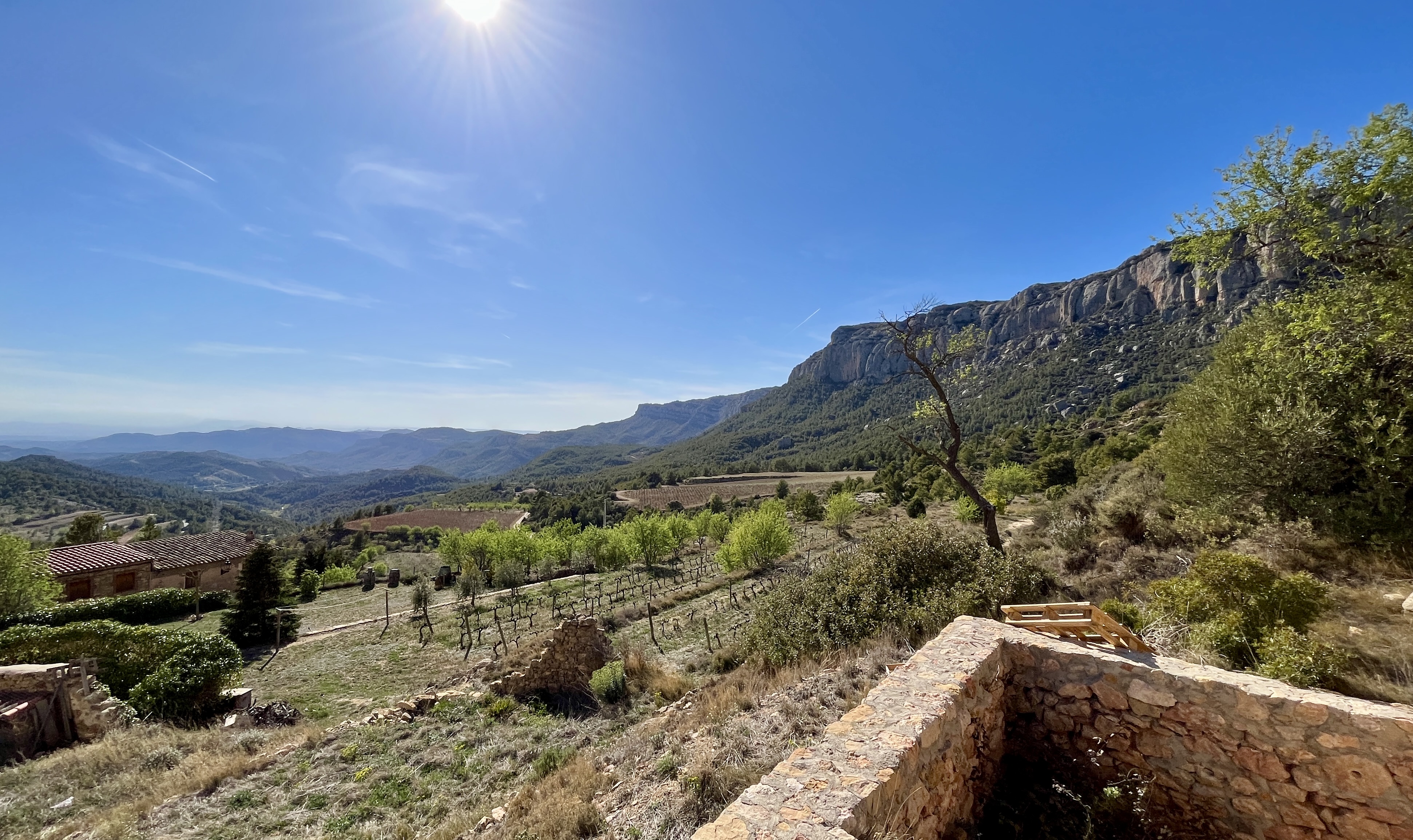 Una guía del Priorat