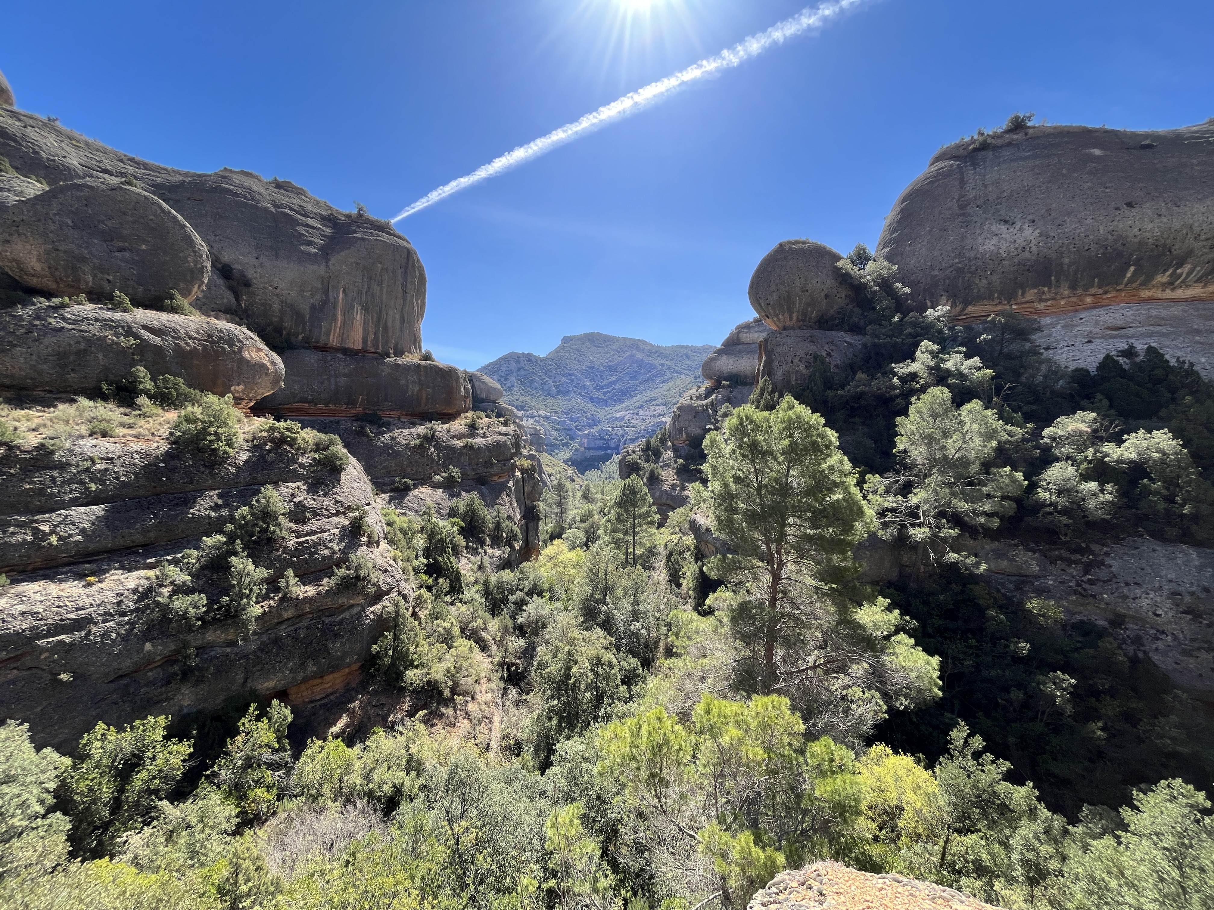 Una guía del Priorat