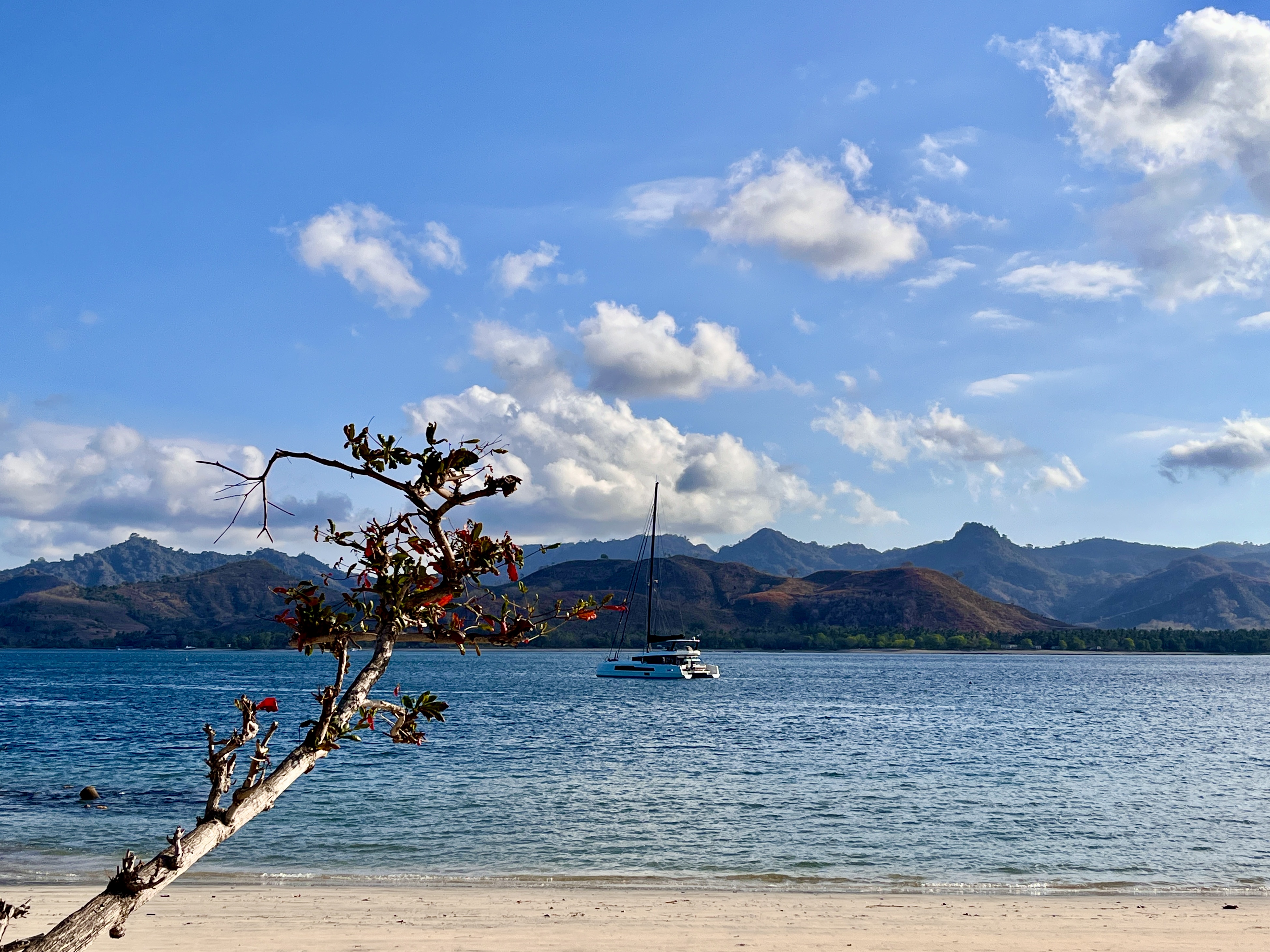 Gili Asahan - Singularia