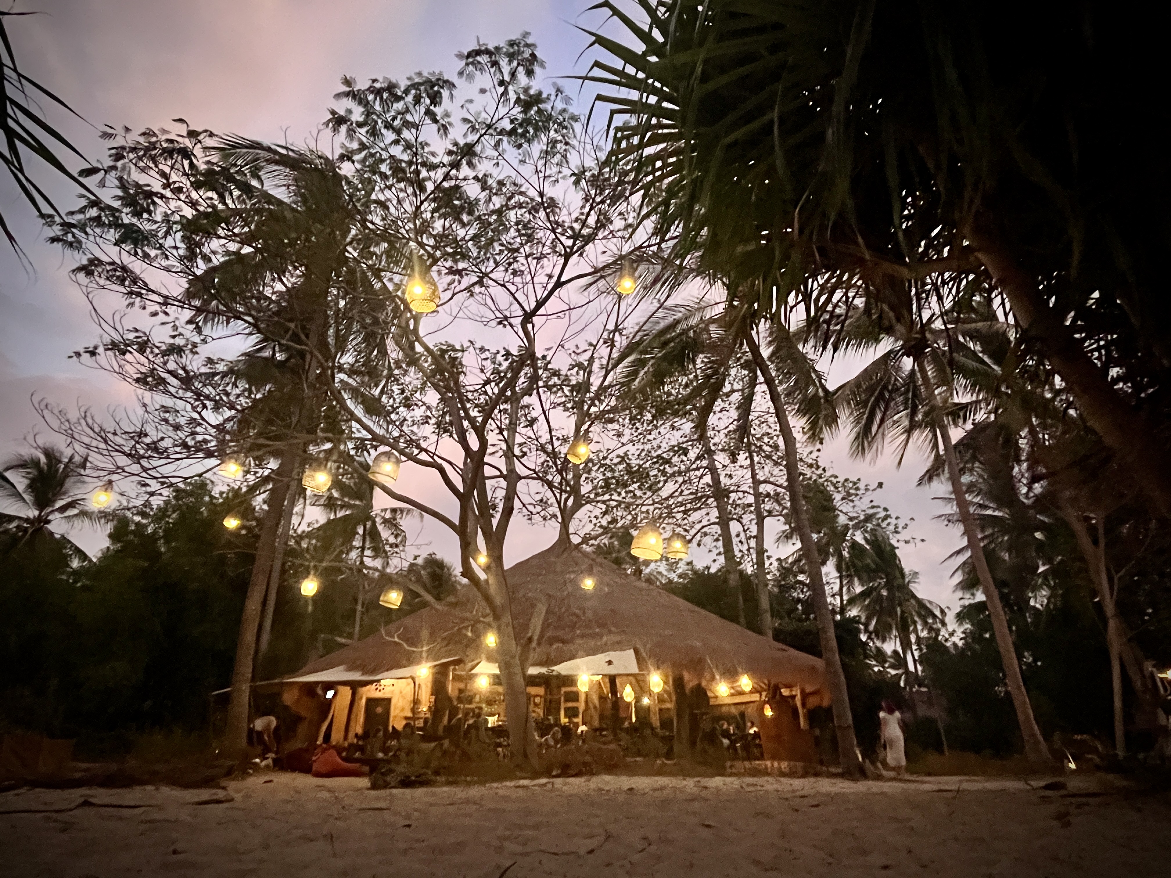 Gili Asahan - Singularia